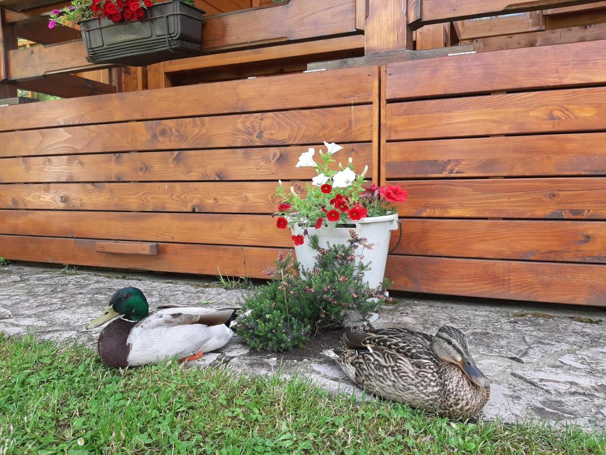 Rest House Ripac Prascijak Zewnętrze zdjęcie
