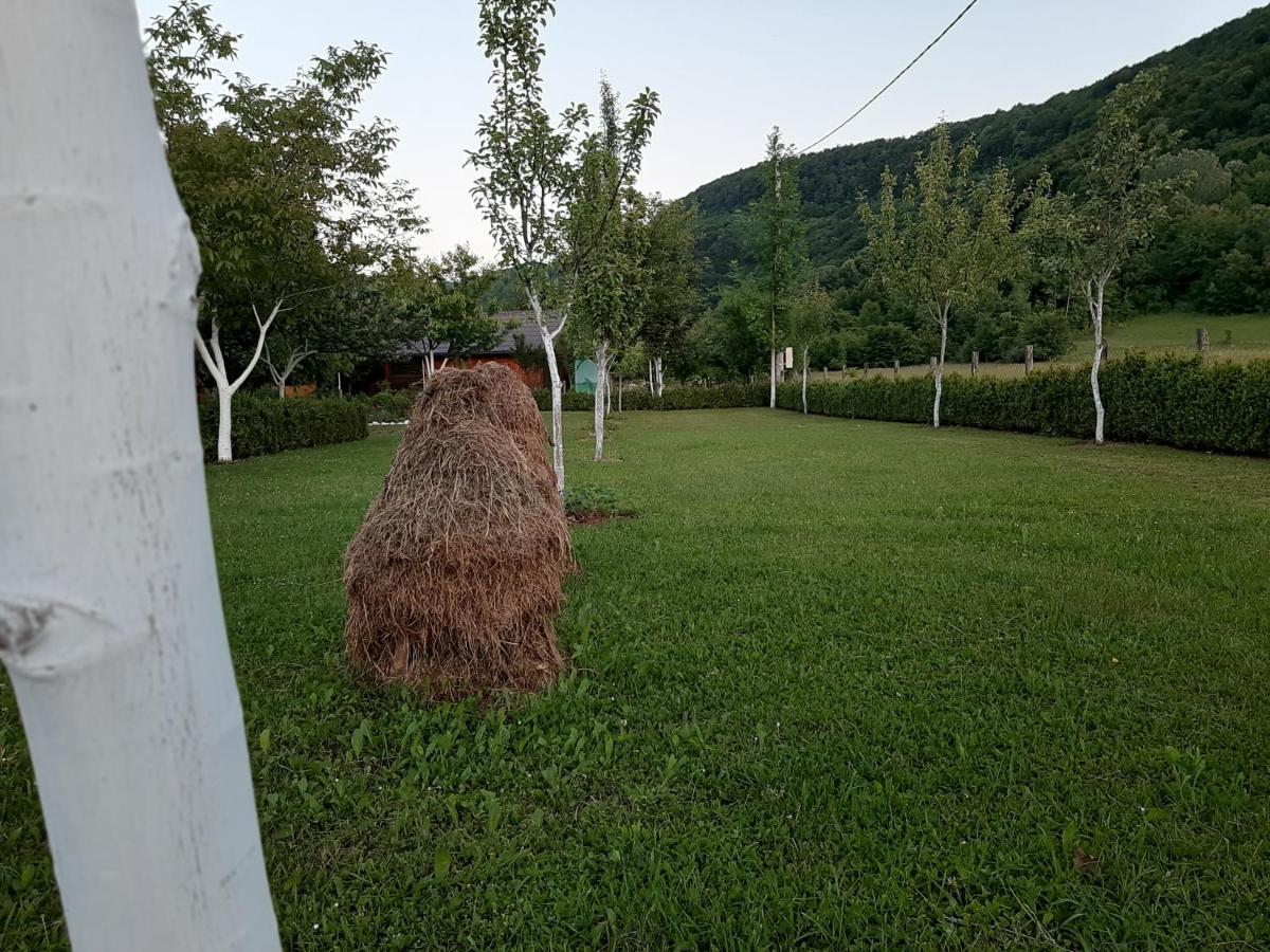 Rest House Ripac Prascijak Zewnętrze zdjęcie