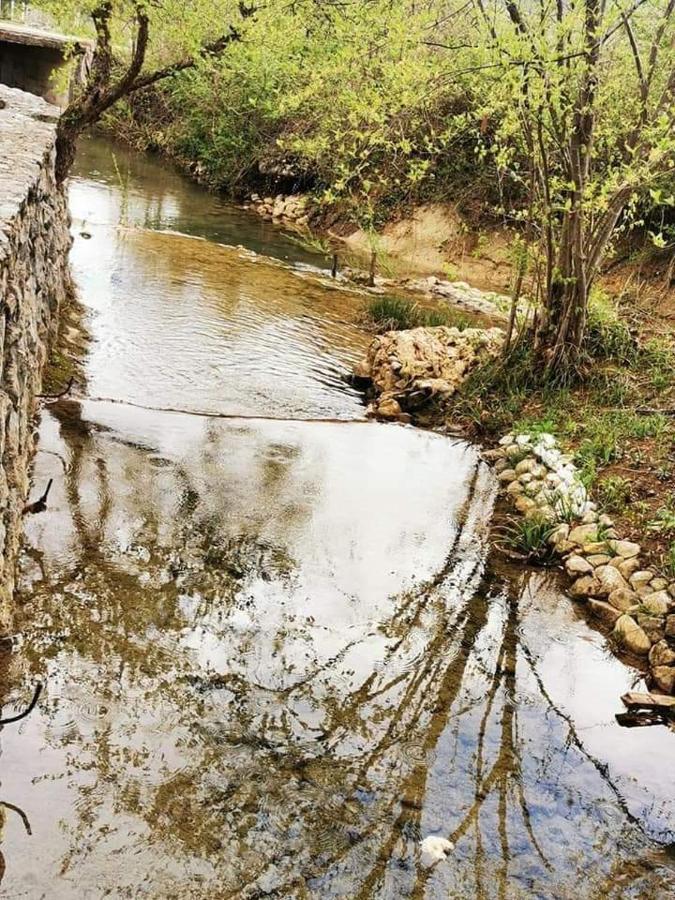Rest House Ripac Prascijak Zewnętrze zdjęcie