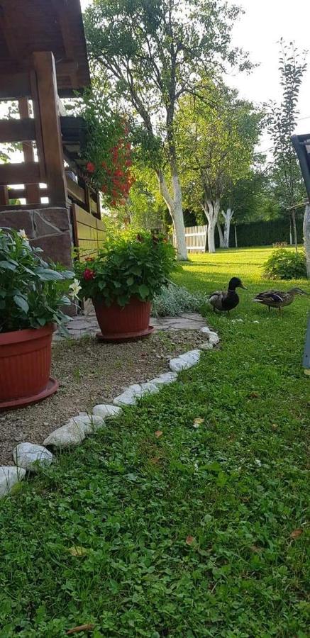 Rest House Ripac Prascijak Zewnętrze zdjęcie