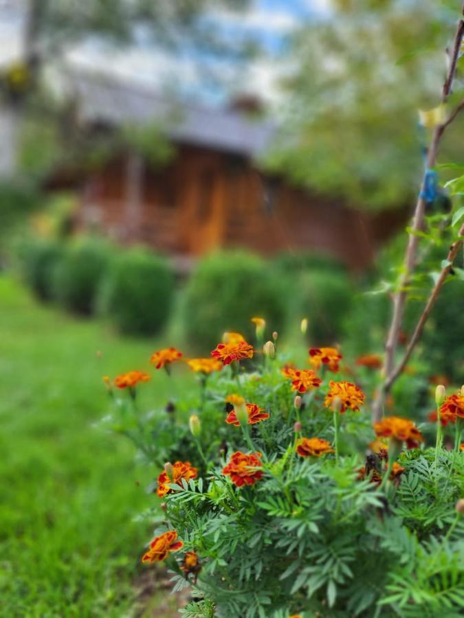 Rest House Ripac Prascijak Zewnętrze zdjęcie
