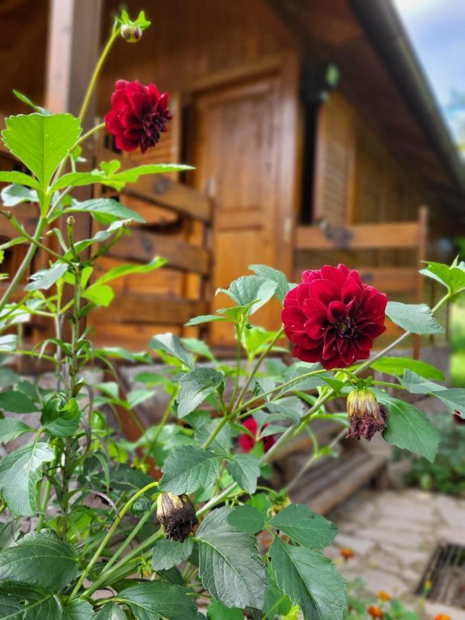 Rest House Ripac Prascijak Zewnętrze zdjęcie