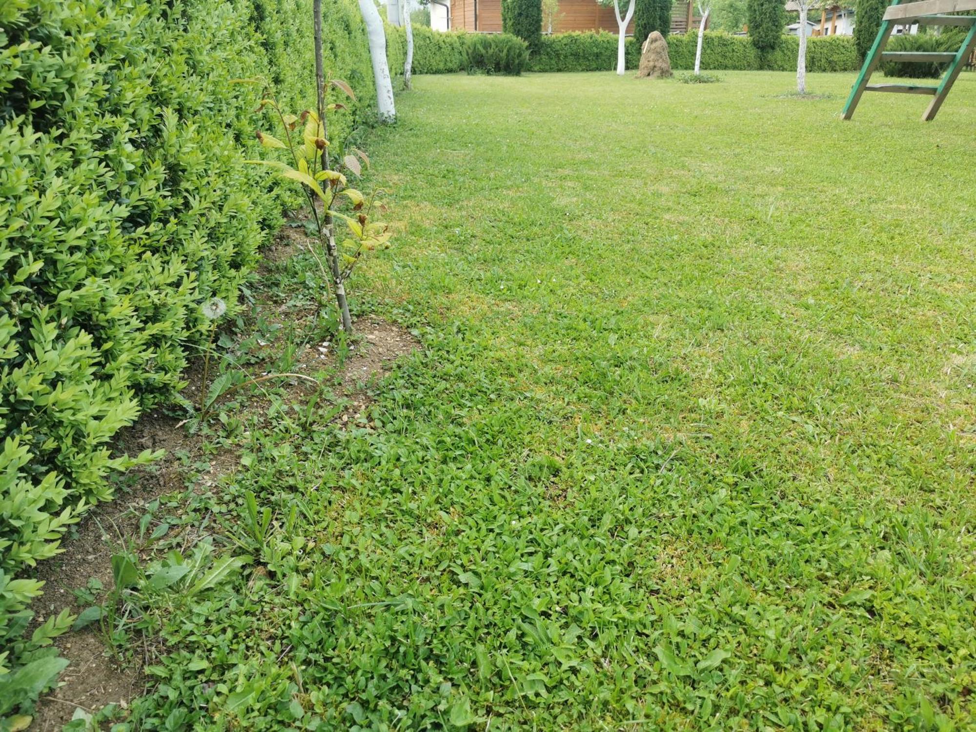 Rest House Ripac Prascijak Zewnętrze zdjęcie